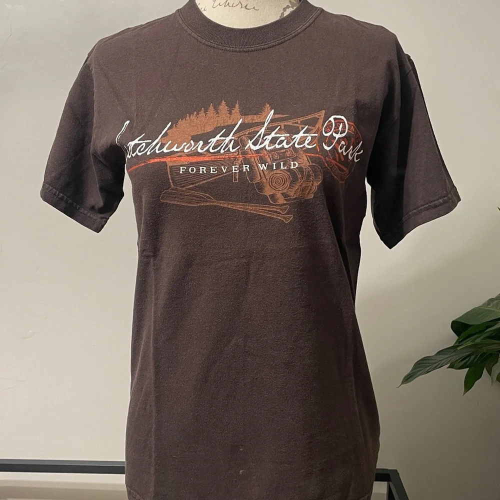 Gildan Brown Letchworth State Park Tee - Picture 2 of 6